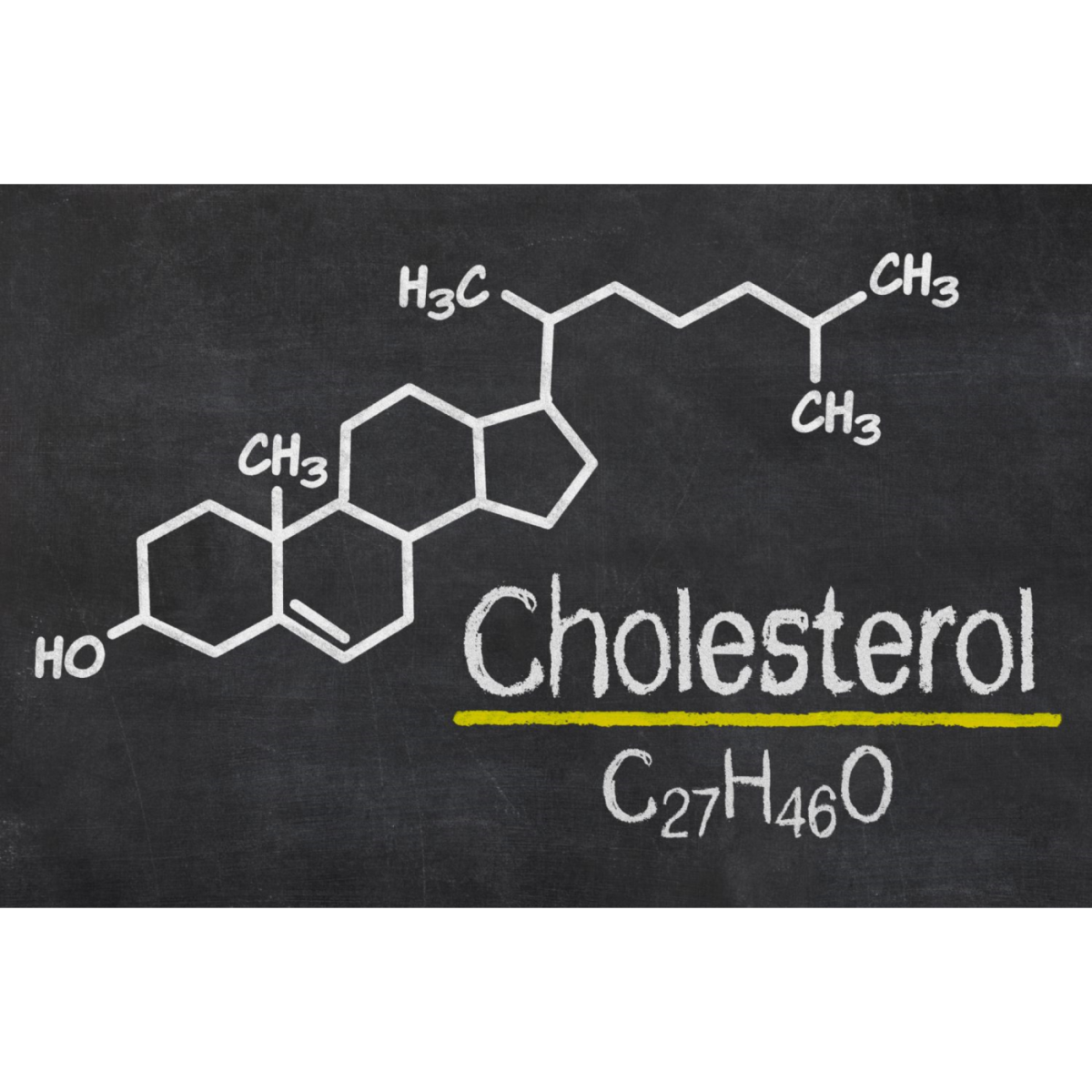 Cholesterol: The Good and The Bad